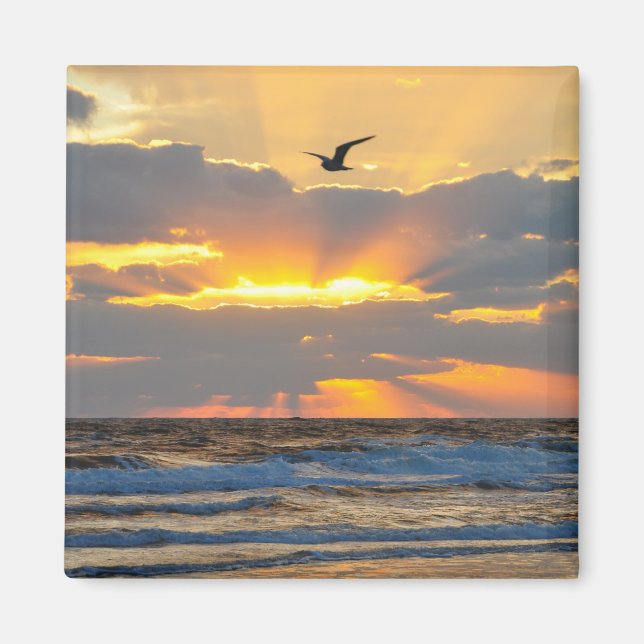 Beautiful Morning Beach Sunrise Scenery Magnet (Front)