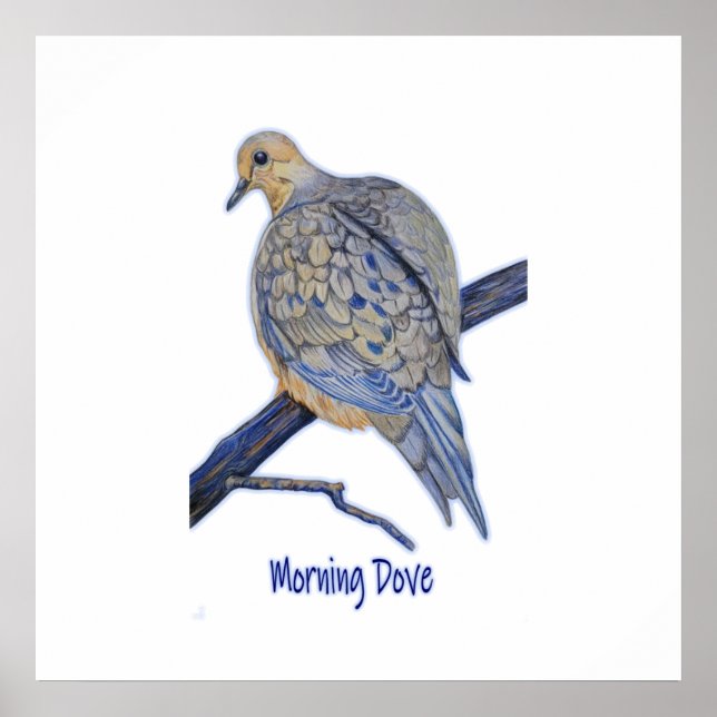 Beautiful Morning Dove Perched on a Branch Art  Poster (Front)