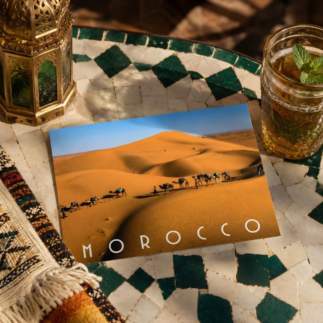 Beautiful Morocco Desert Sahara Camel Riding Trip Postcard (Morocco Desert Postcard )