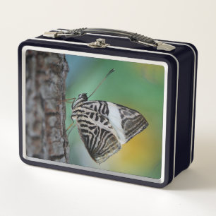 Beautiful Mosaic Zebra Butterfly Metal Lunch Box