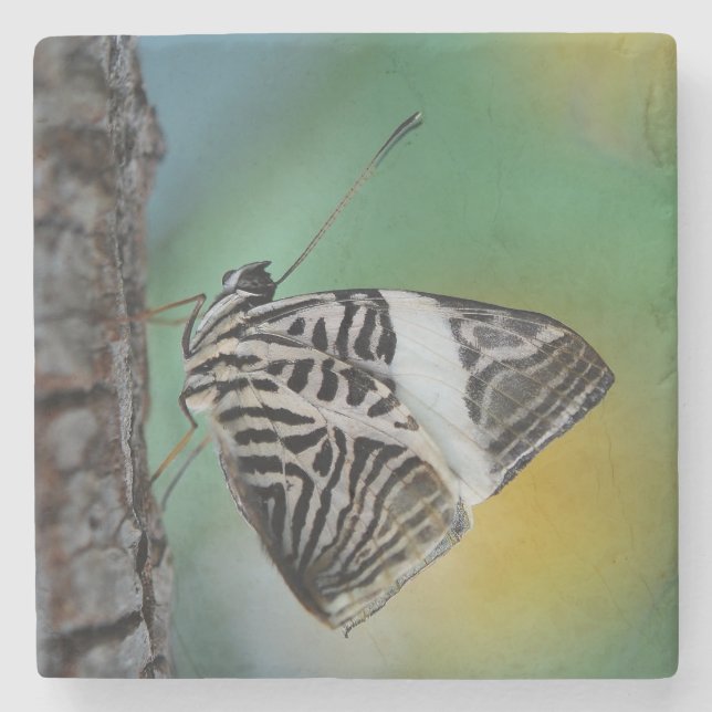 Beautiful Mosaic Zebra Butterfly Stone Coaster (Front)