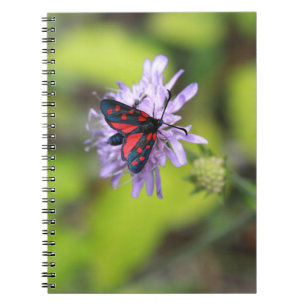 Beautiful Moth Spiral Notebook