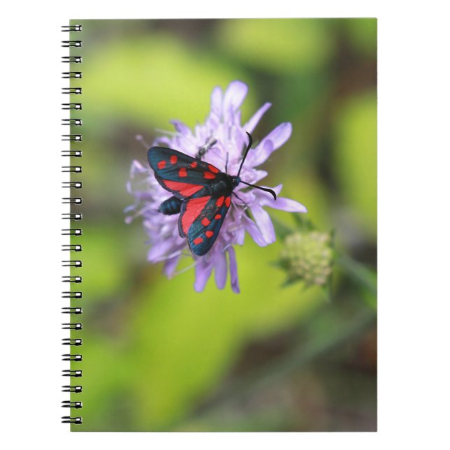 Beautiful Moth Spiral Notebook (Front)