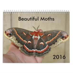 Beautiful Moths Calendar 2016