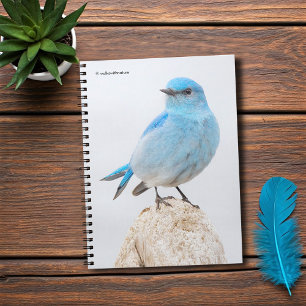 Beautiful Mountain Bluebird at the Beach Spiral Notebook