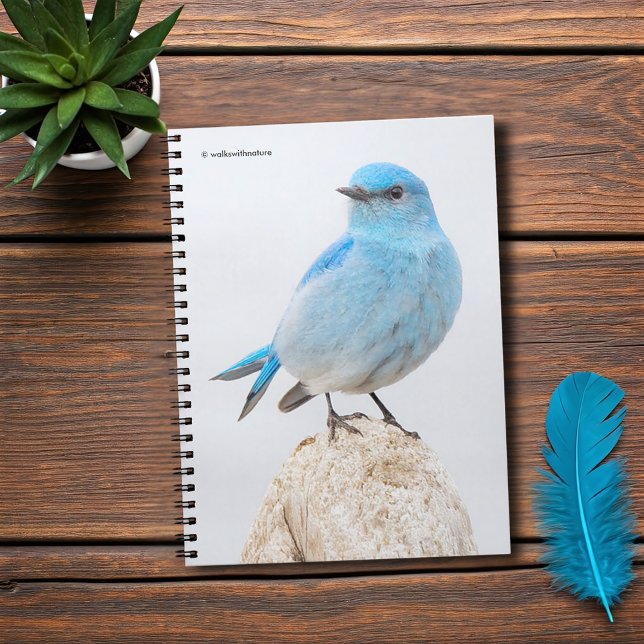 Beautiful Mountain Bluebird at the Beach Spiral Notebook (Beautiful Mountain Bluebird at the Beach Journal Cover Photo)
