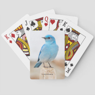 Beautiful Mountain Bluebird on the Beach Playing Cards