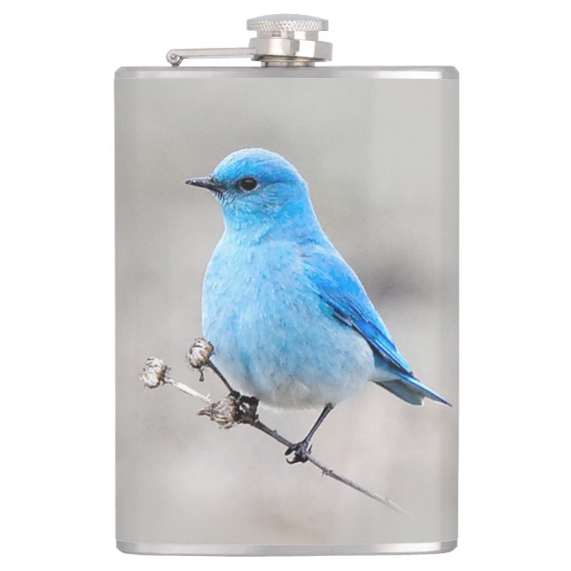 Beautiful Mountain Bluebird on the Tansy Hip Flask (Front)