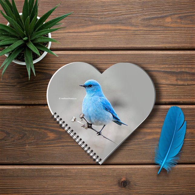 Beautiful Mountain Bluebird on the Tansy Notebook (Beautiful Mountain Bluebird on the Tansy Journal Cover Photo)