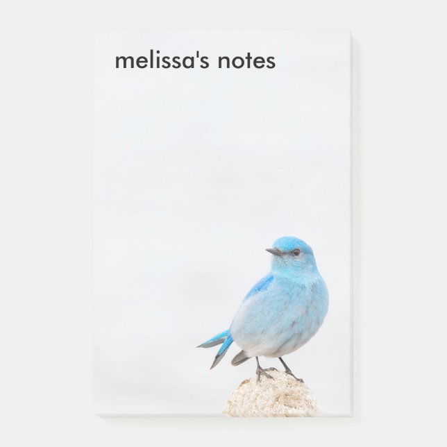 Beautiful Mountain Bluebird Post-it Notes (Front)
