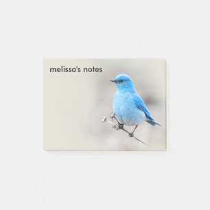 Beautiful Mountain Bluebird Post-it Notes