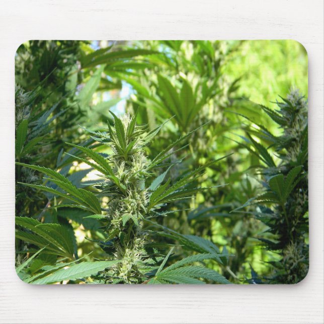 Beautiful..... Mouse Pad (Front)