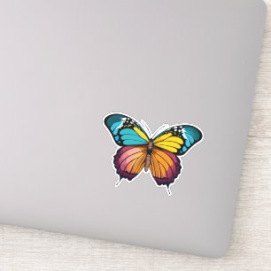 Beautiful Multicolored Butterfly