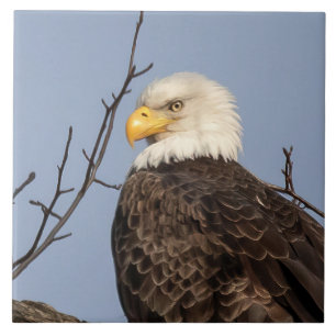Beautiful Mum (Eagle) Ceramic Tile