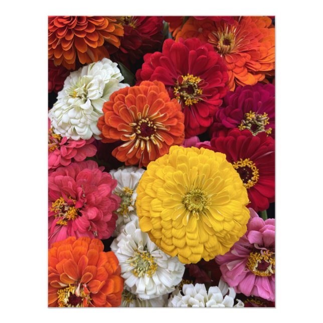 Beautiful Mums Photo Print (Front)