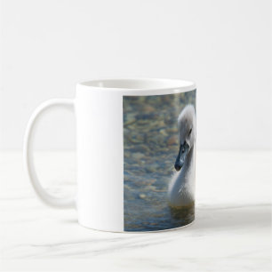 Beautiful Mute Swan Duckling Coffee Mug