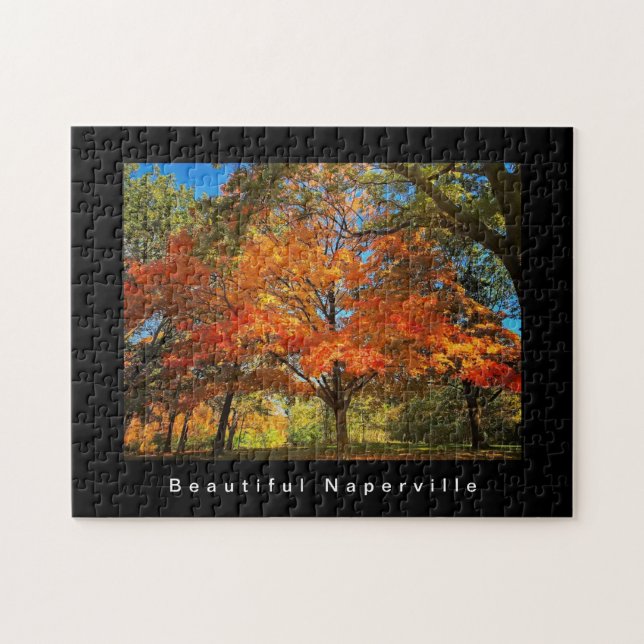Beautiful Naperville - Autumn Leaves Jigsaw Puzzle (Horizontal)