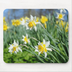 beautiful narcissus mouse pad