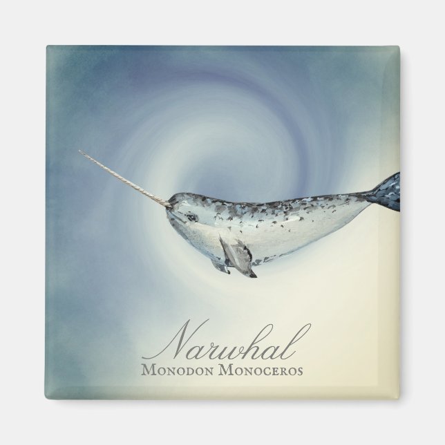 Beautiful Narwhal Whale, Monodon Monoceros Magnet (Front)