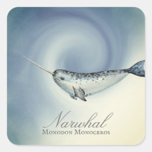 Beautiful Narwhal Whale, Monodon Monoceros Square Sticker