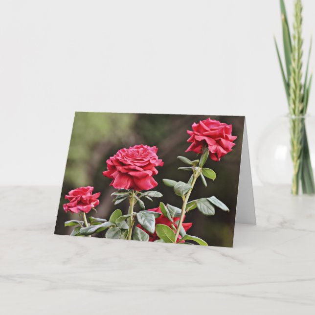 Beautiful Natural Roses Flower Note Card (Front)
