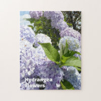 Beautiful Nature Hydrangea Garden Flower Photo