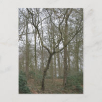 Beautiful Nature I, Send Ugly Postcard Collection