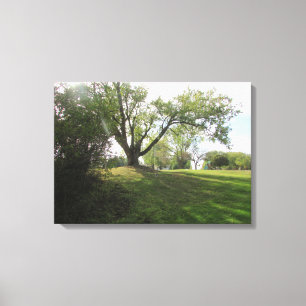 Beautiful Nature Landscape Trees Photography Art Canvas Print