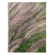 beautiful nature photo, pampas grass - journal