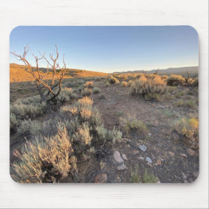 Beautiful Nevada Desert Mouse Pad
