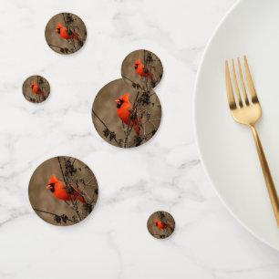 Beautiful Northern Cardinal  Confetti