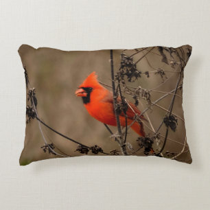 Beautiful Northern Cardinal  Decorative Cushion