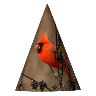 Beautiful Northern Cardinal Party Hat