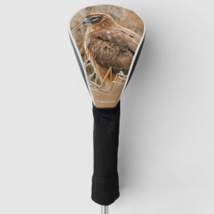 Beautiful Northern Harrier Hawk in the Marsh Golf Head Cover