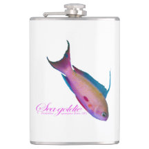 Beautiful nuptial colouring for the Sea goldy