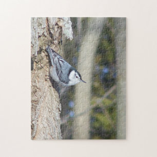 Beautiful Nuthatch Puzzle