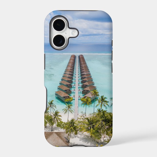 Beautiful Ocean Creatures (Back)