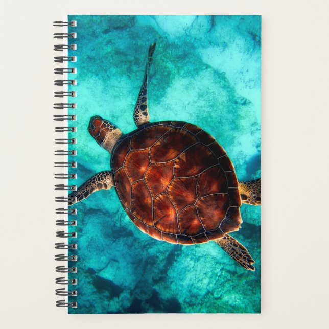 Beautiful-Ocean Swimming Large-Brown Turtle Planner (Front)