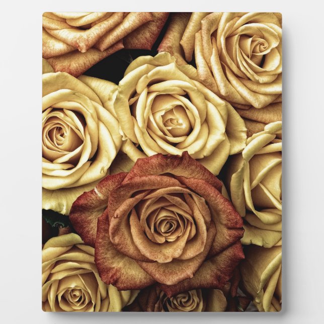 Beautiful Old Roses Plaque (Front)