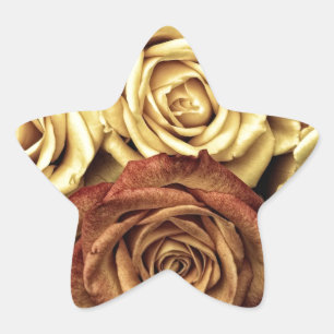 Beautiful Old Roses Star Sticker