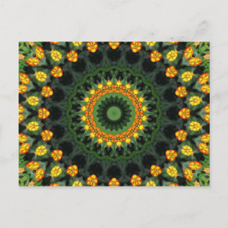 Beautiful Orange and Yellow Lantana Kaleidoscope 1 Postcard
