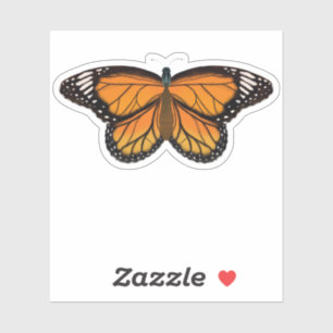 Beautiful Orange Butterfly Drawing Painting