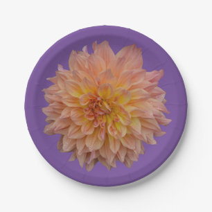 Beautiful orange dahlia paper plate