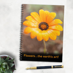Beautiful Orange Daisy Flower The Earth's Art Spiral Notebook