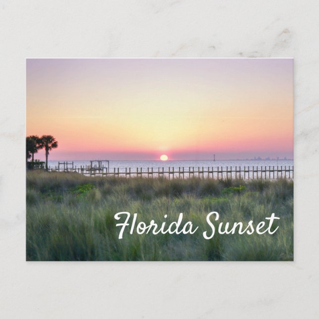 Beautiful Orange Florida Sunset Dock Pier Postcard (Front)