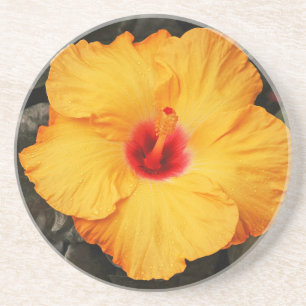 Beautiful orange hibiscus flower coaster