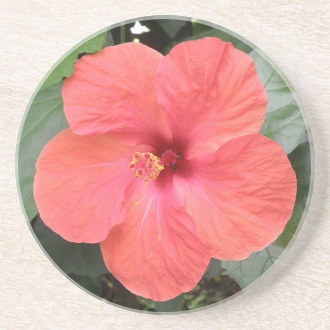 Beautiful Orange Hibiscus Flower Coasters (Front)