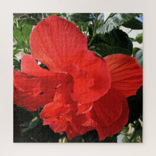 Beautiful Orange Hibiscus Flower Photo Jigsaw Puzzle
