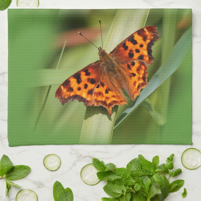 Beautiful Orange Satyr Comma Butterfly Tea Towel (Folded)