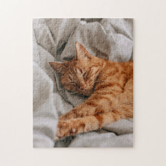 Beautiful Orange Sleeping Cat  Jigsaw Puzzle